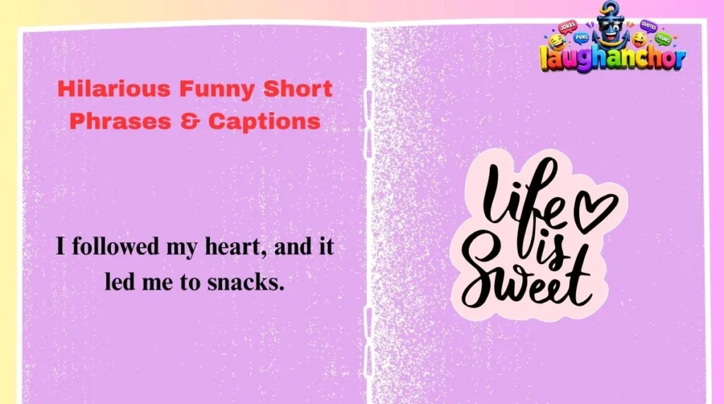 Hilarious Funny Short Phrases & Captions