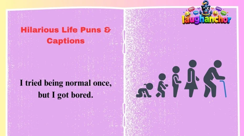 Hilarious Life Puns & Captions
