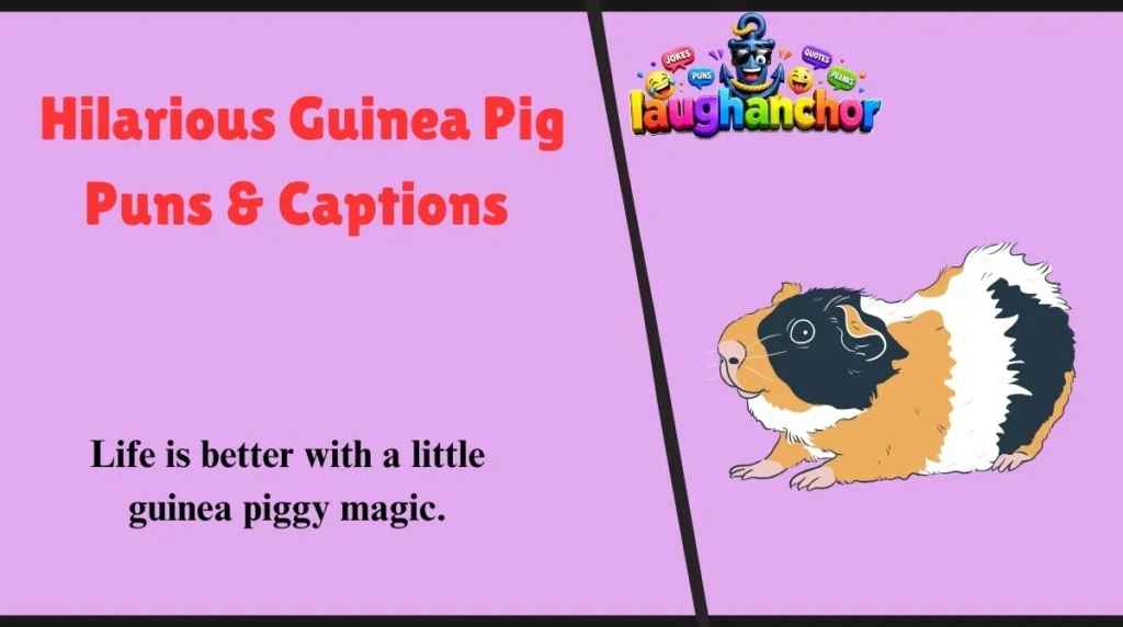 Hilarious Guinea Pig Puns & Captions 