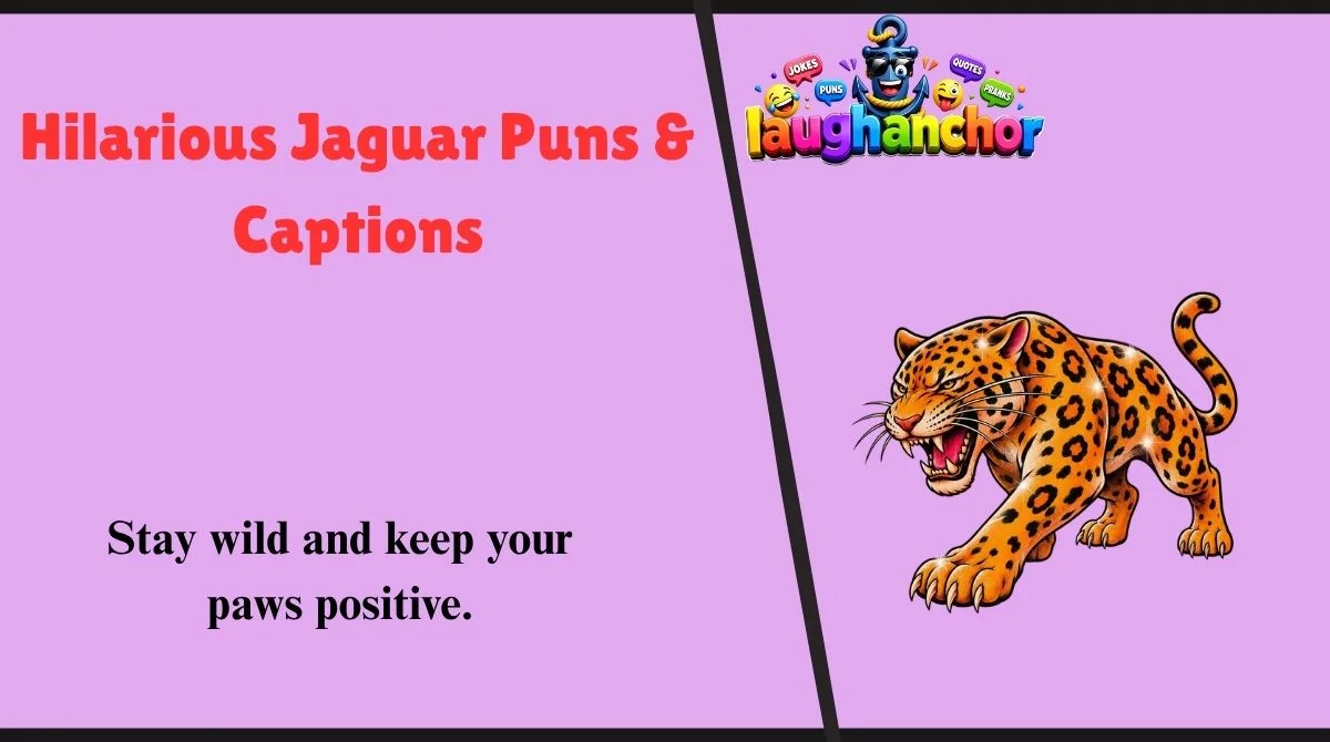 Hilarious Jaguar Puns & Captions