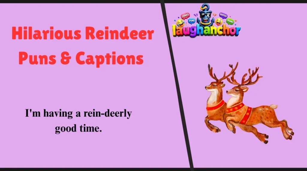 Hilarious Reindeer Puns & Captions 