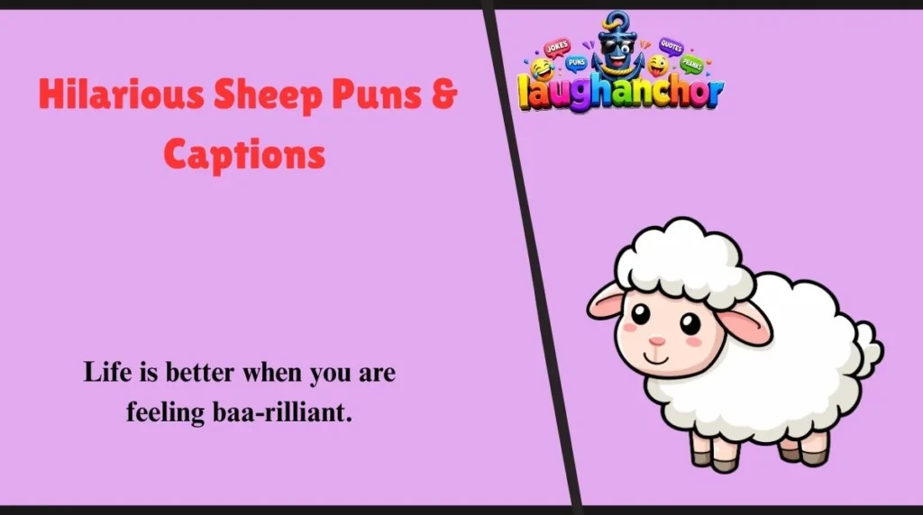 Hilarious Sheep Puns & Captions 