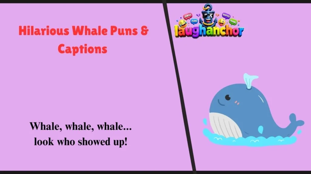Hilarious Whale Puns & Captions 