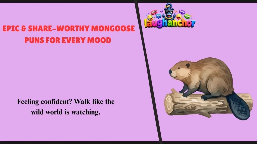 Epic & Share-Worthy Mongoose Puns for Every Mood