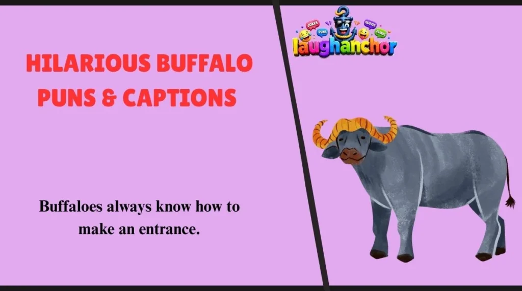 Hilarious Buffalo Puns & Captions 
