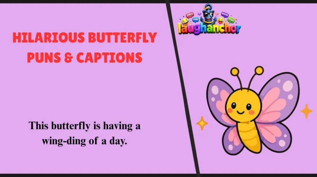 Hilarious Butterfly Puns & Captions