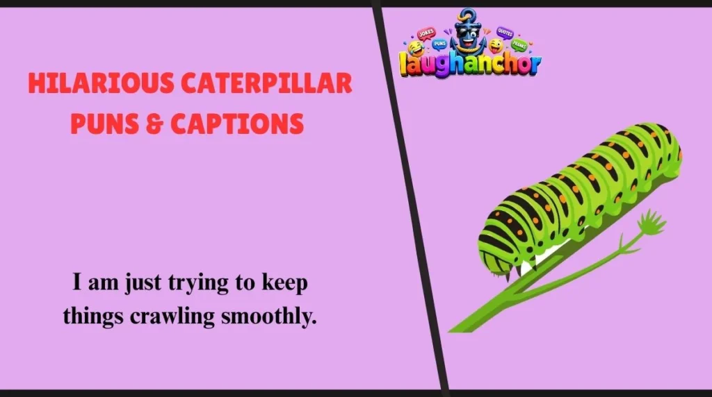 Hilarious Caterpillar Puns & Captions 