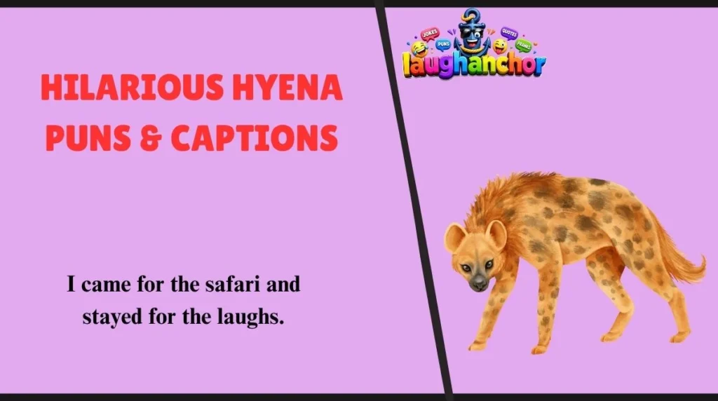 Hilarious Hyena Puns & Captions