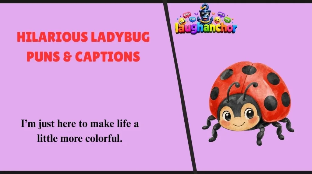 Hilarious Ladybug Puns & Captions