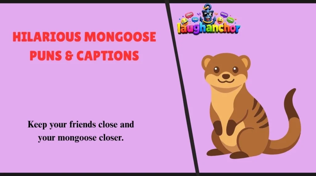 Hilarious Mongoose Puns & Captions