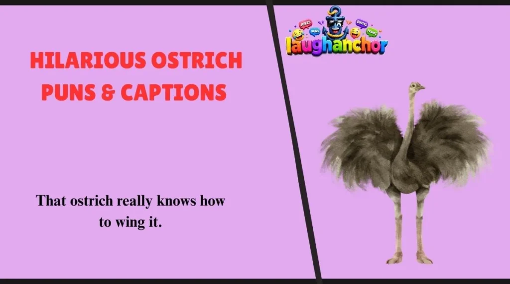 Hilarious Ostrich Puns & Captions