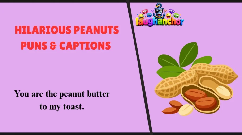 Hilarious Peanuts Puns & Captions 