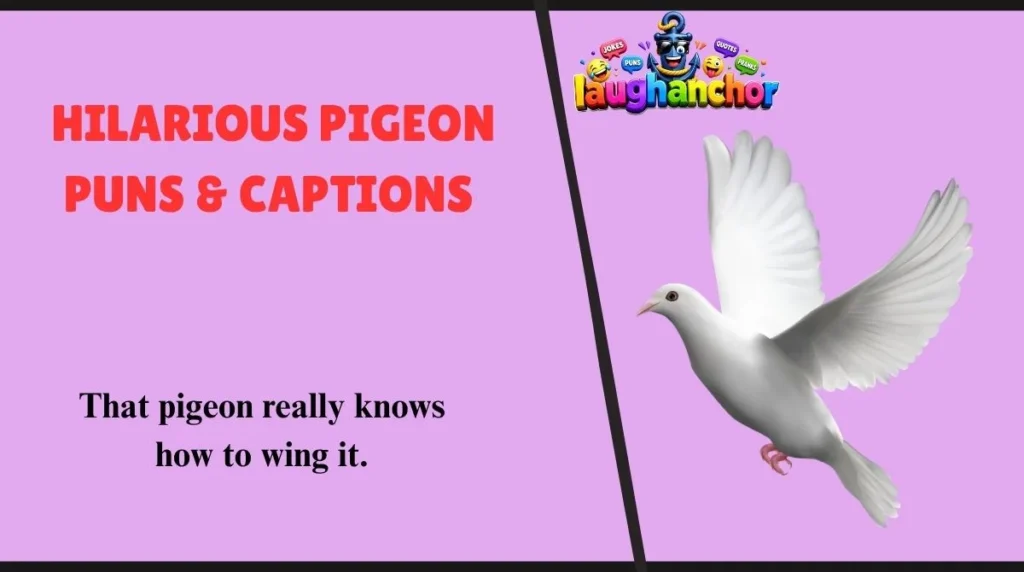 Hilarious Pigeon Puns & Captions