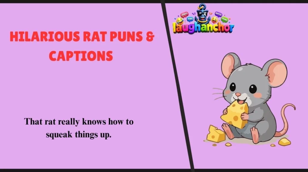 Hilarious Rat Puns & Captions 