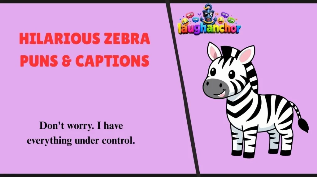 Hilarious Zebra Puns & Captions