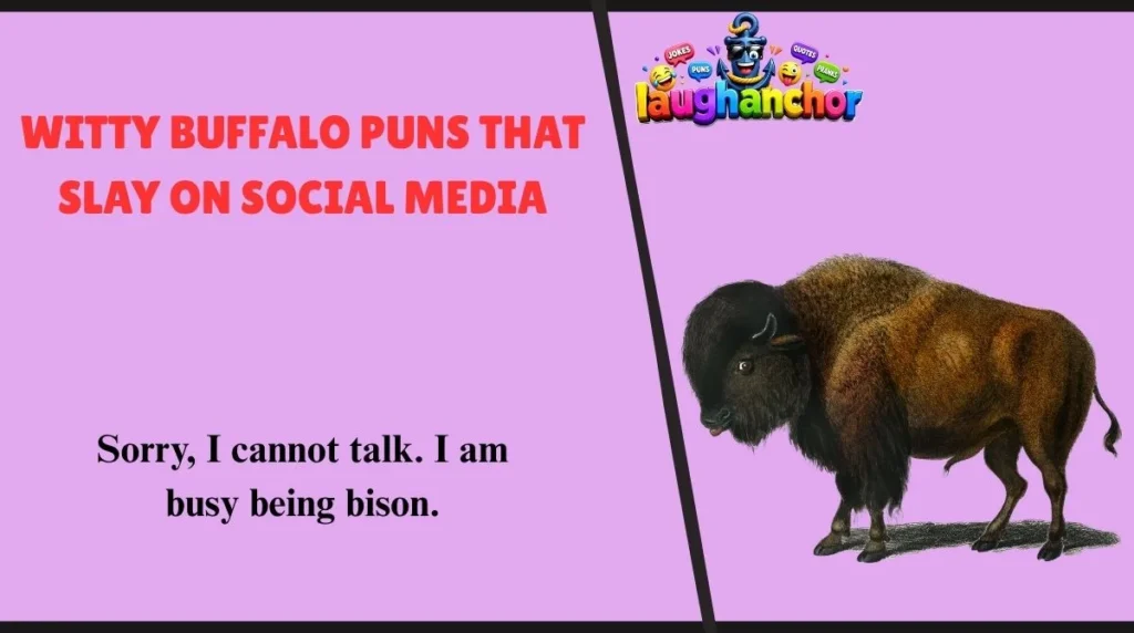 Witty Buffalo Puns That Slay on Social Media