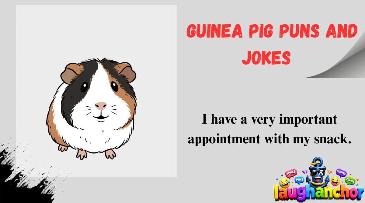 Guinea Pig Puns and Jokes