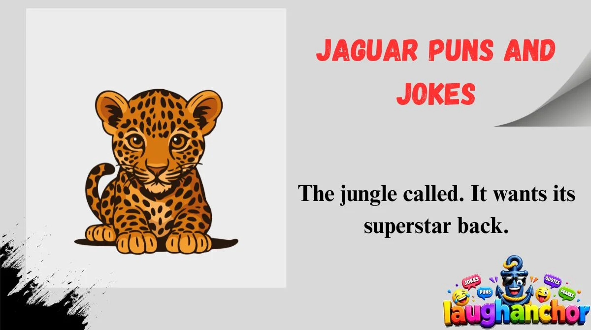 Jaguar Puns and Jokes