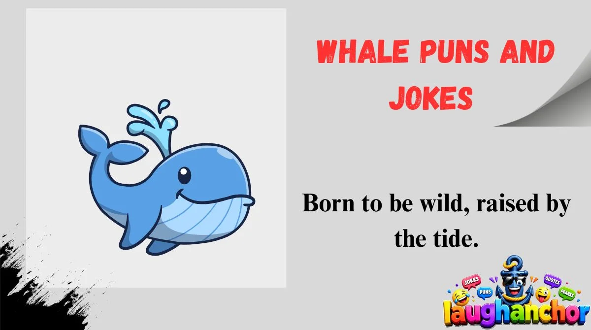 Whale Puns and Jokes