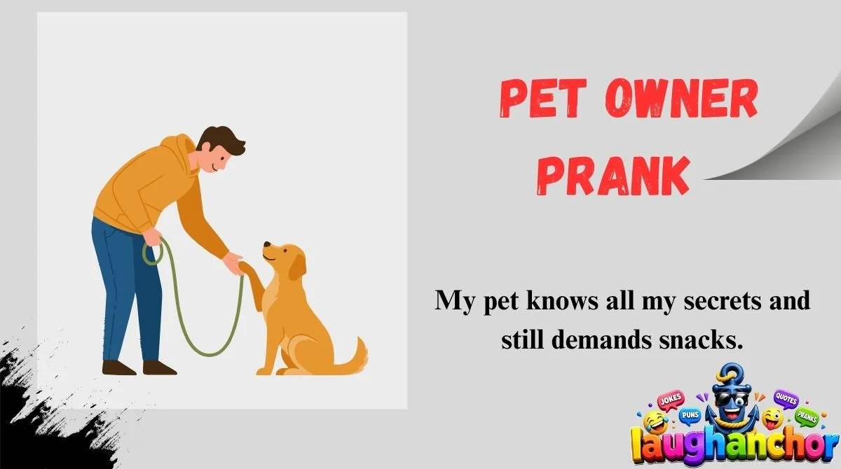 Pet Owner Prank