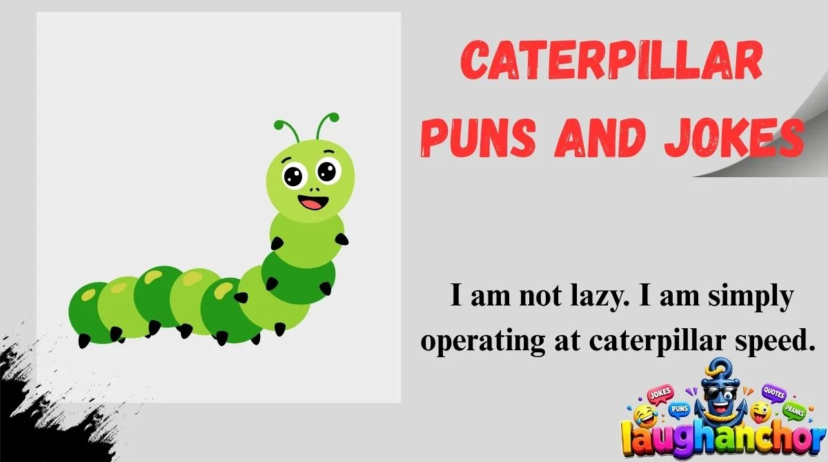 Caterpillar Puns and Jokes