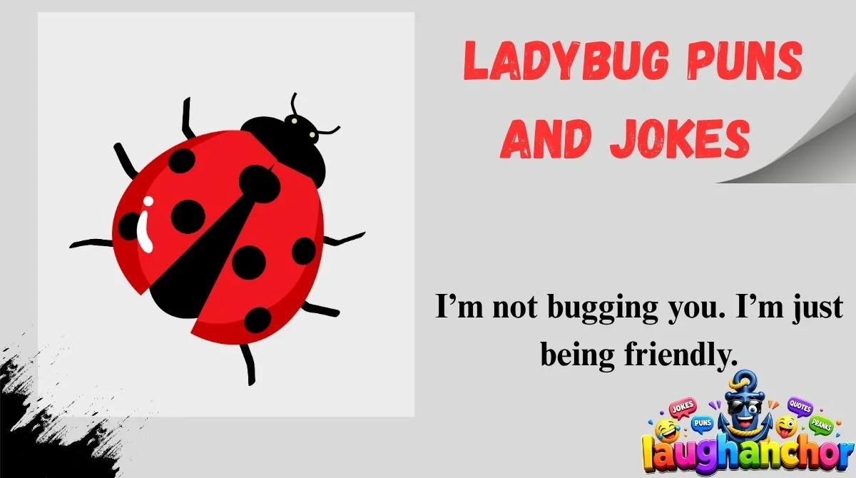 Ladybug Puns and Jokes