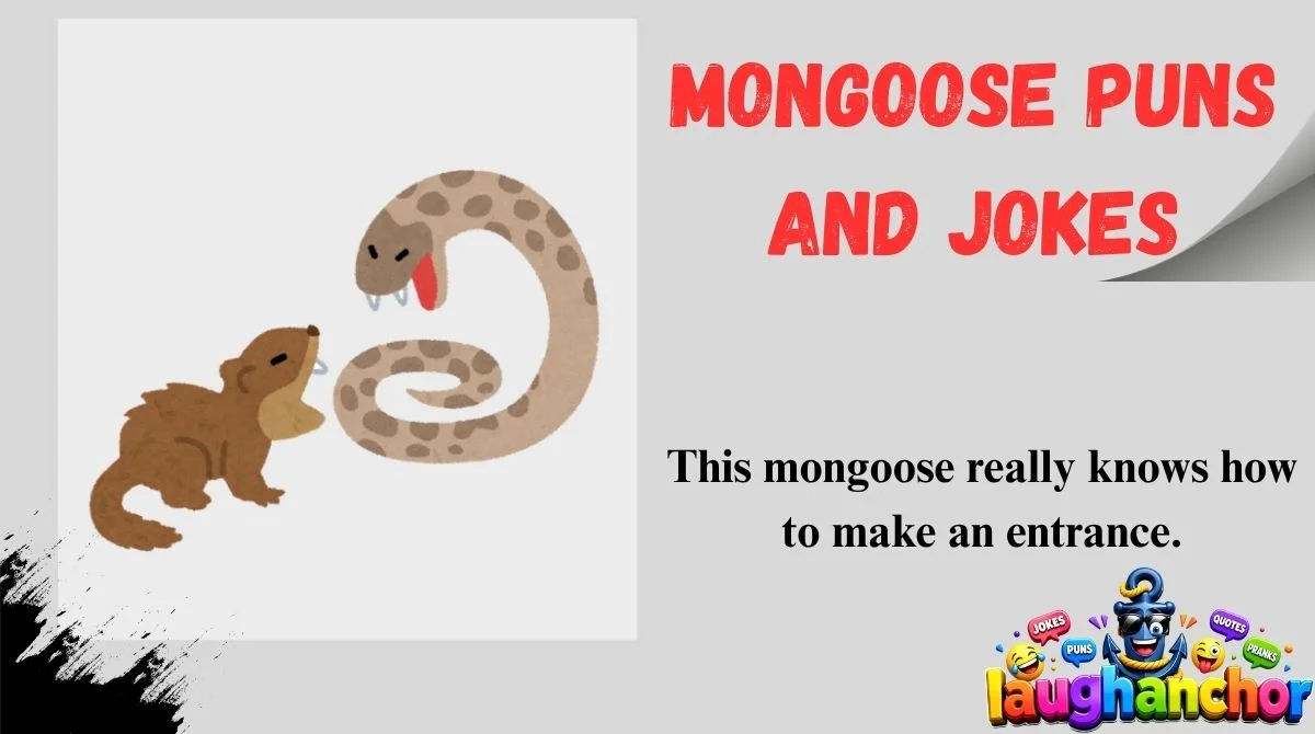 Mongoose Puns and Jokes