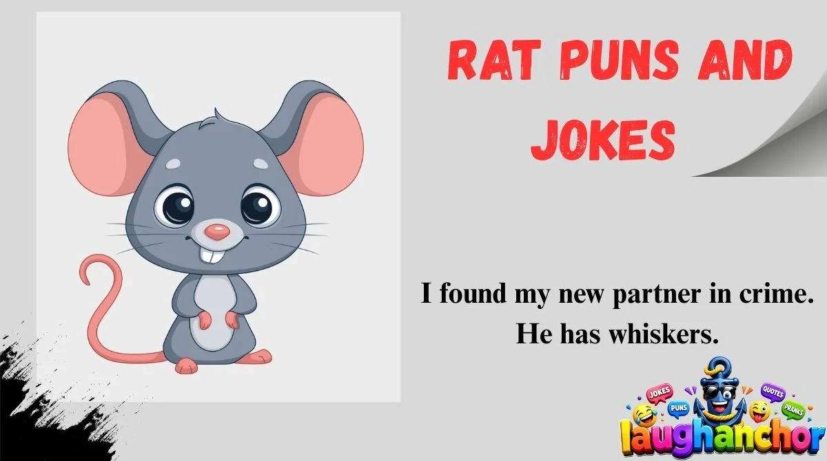 Rat Puns and Jokes