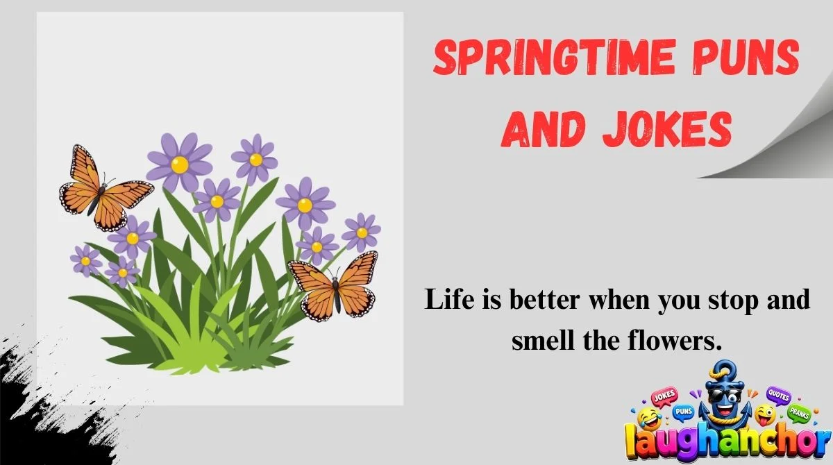 Springtime Puns and Jokes