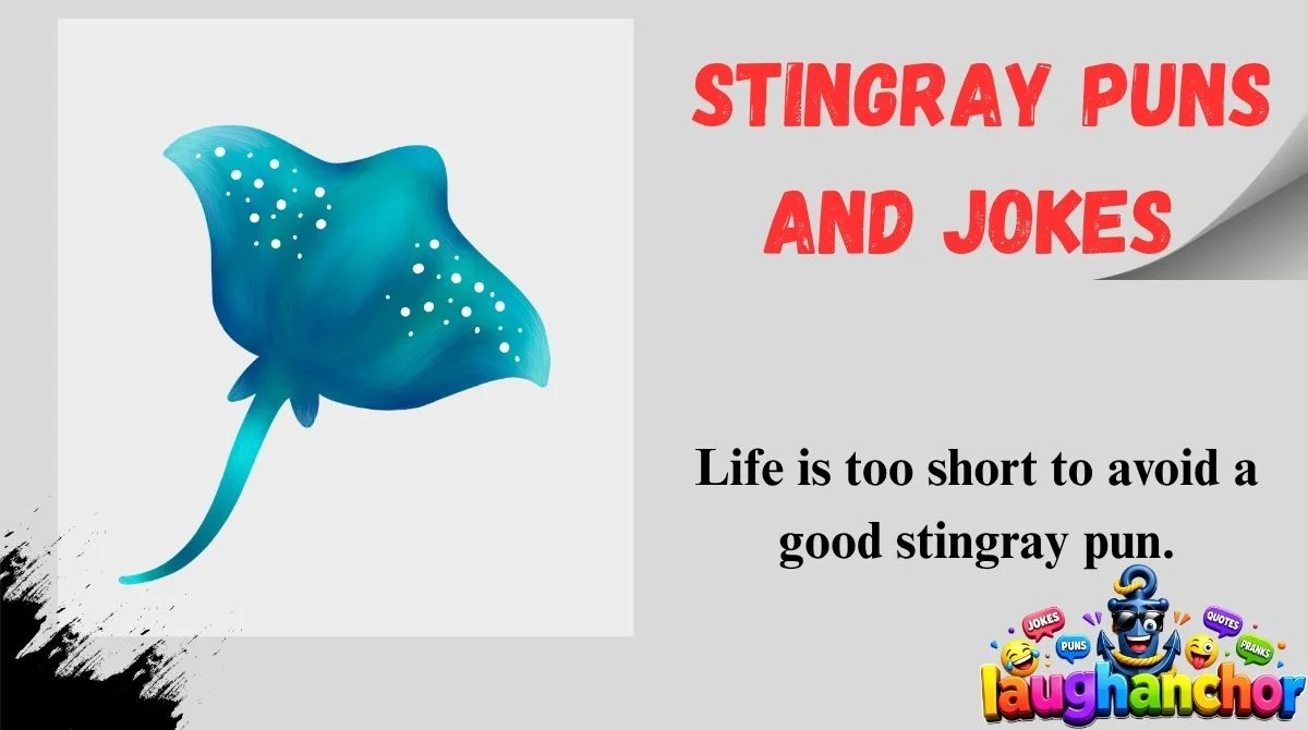 Stingray Puns and Jokes