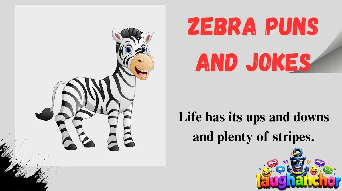 Zebra Puns and Jokes